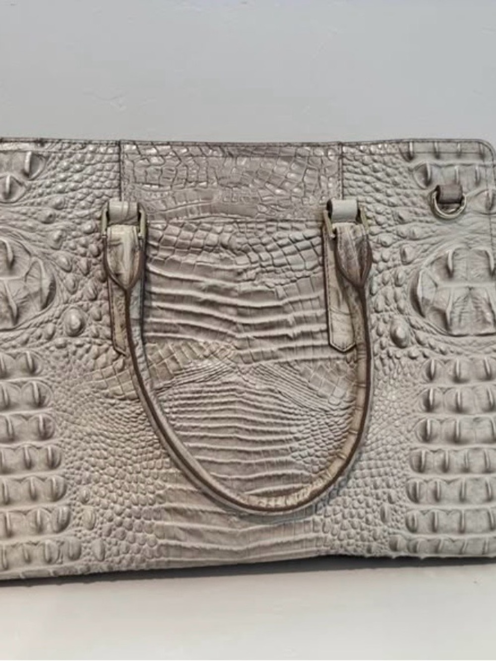 Brahmin - Picture 5 of 5
